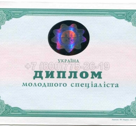 Диплом Техникума Украины 2005г в Череповце